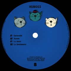 Gavinco - Lu Sentiments [Houseum Records]