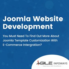 Agile Infoways ( Mobile Application Development Company)