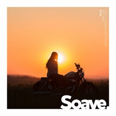 Final DJs - Wild (feat. Bright Light Bright Light)