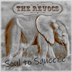 Soul To Squeeze (RHCP Cover)