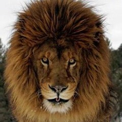 Independent Girl Mix (No Drum)