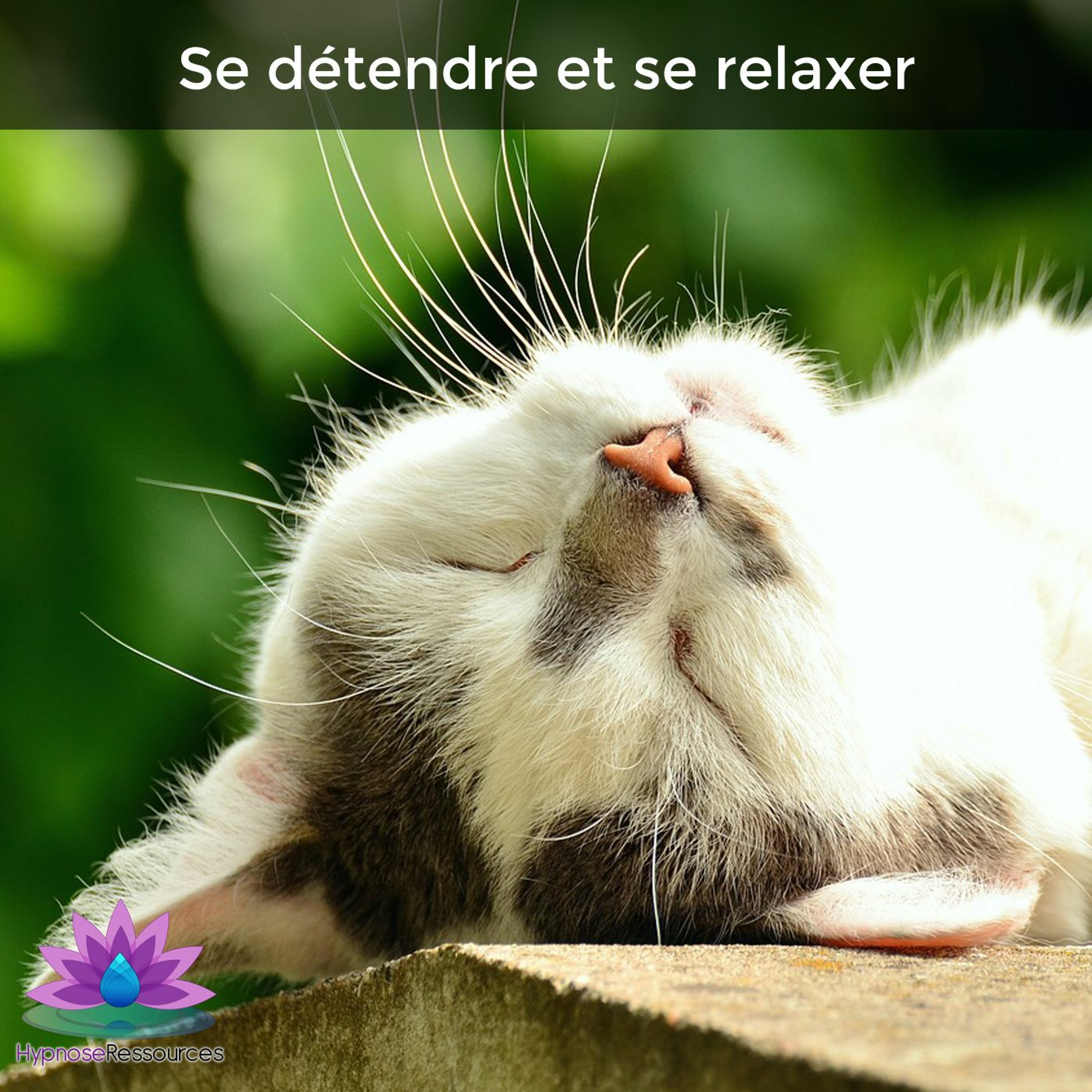 Hypnose Ressources