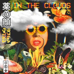 Drugface - In The Clouds (Clarian Remix)