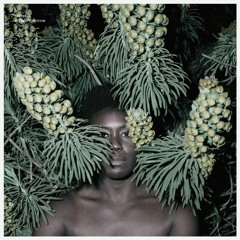 Cressida - What Are You Like [VOI015 | Premiere]