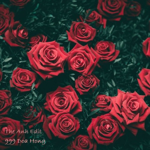 999 Đóa Hồng (N.TA$K Edit)
