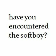 have you encountered the softboy? by alan hanson