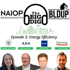 Big Dig Podcast Episode 3 - Energy Efficiency