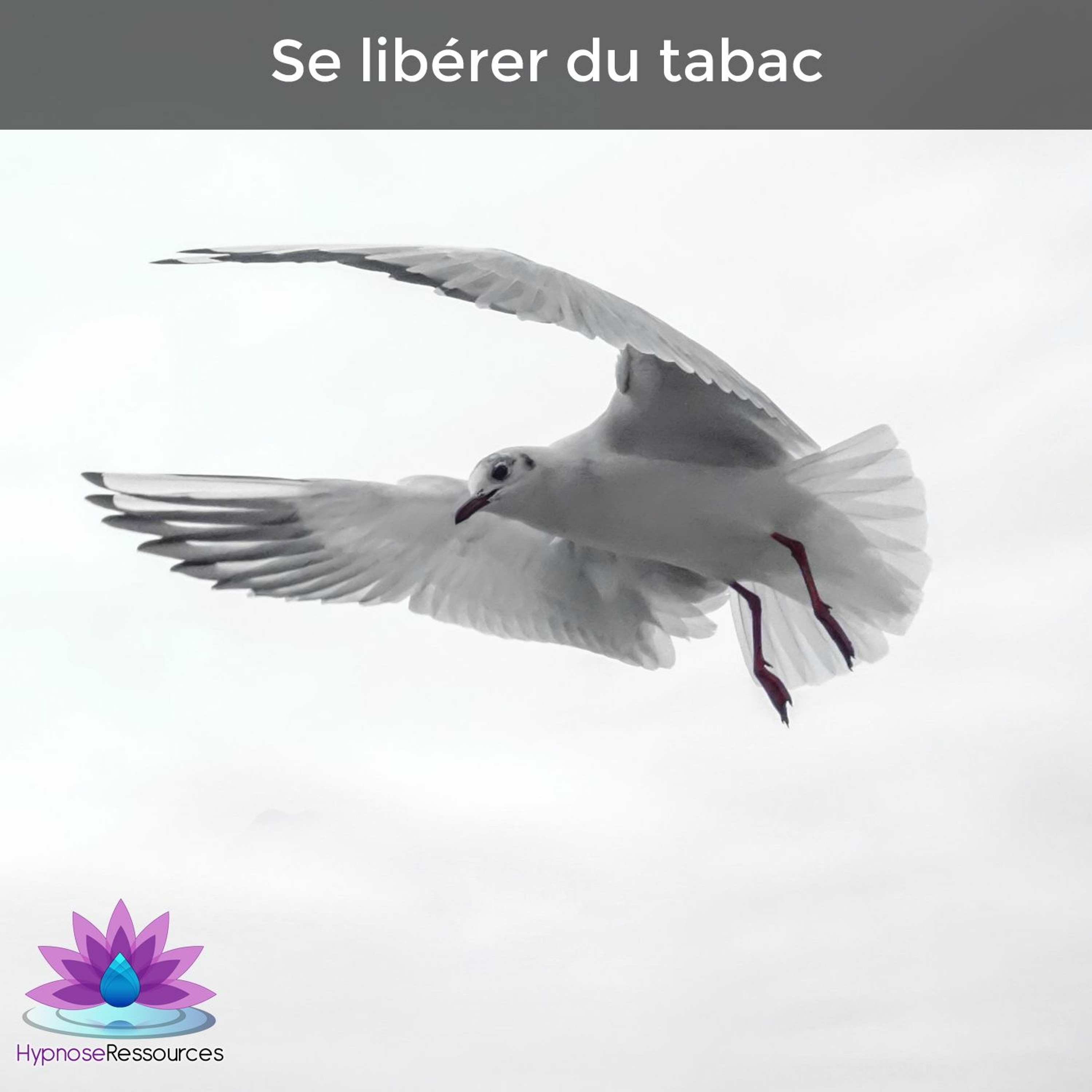 Hypnose Ressources