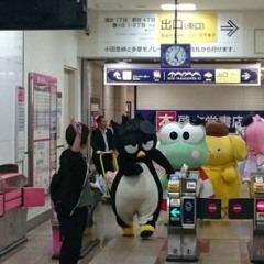 H3lp  M3  F1nd  Wallac3  1n  Wall13  W0rld