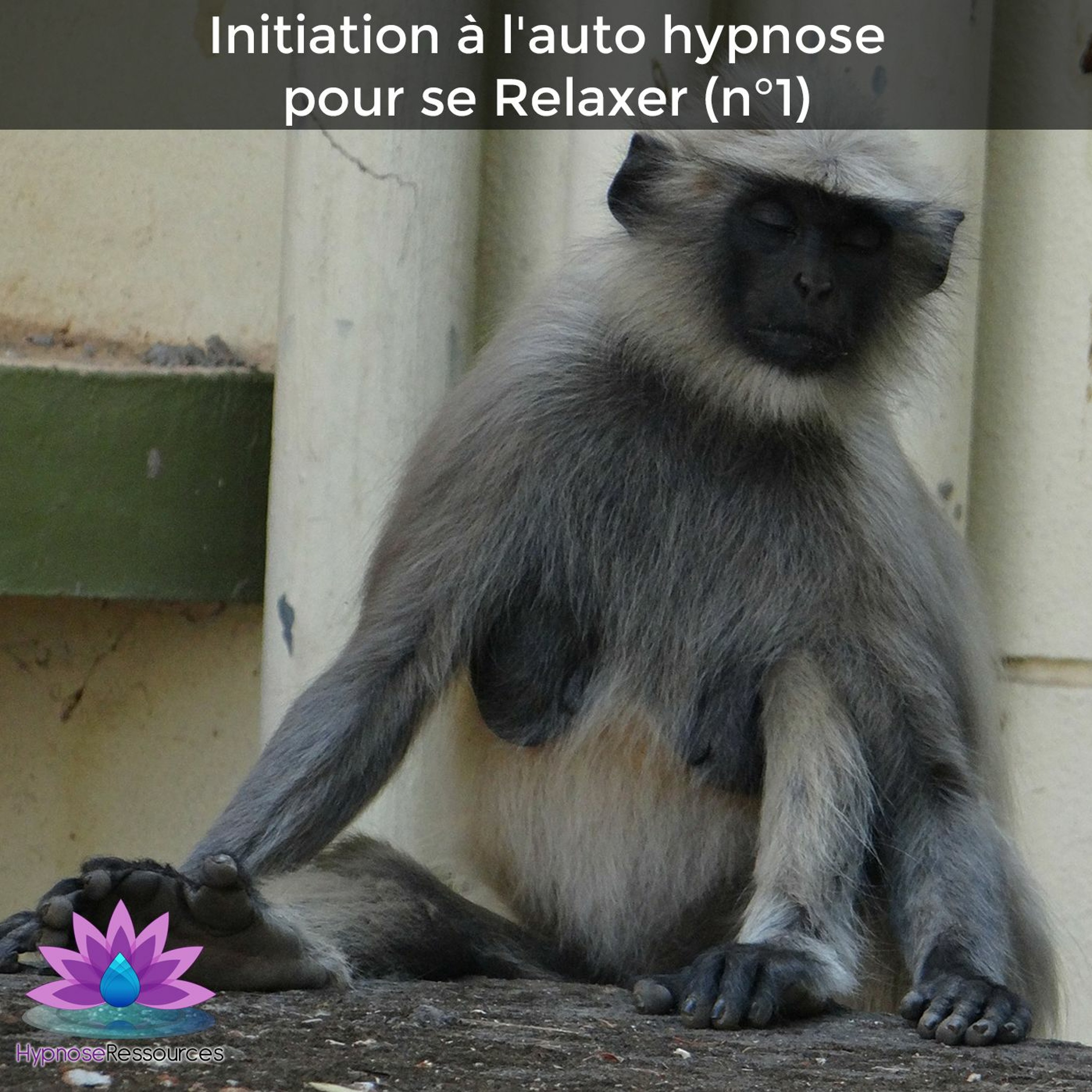 Hypnose Ressources