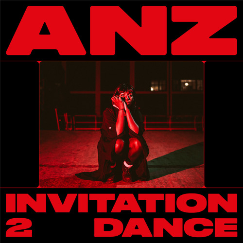 Anz - But At Least We Have This