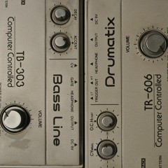 1981 Roland TB303 & TR606 As Nature Intended