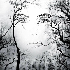 THE STRAIGHT DOPE INSTRUMENTAL (CBD BEATS)