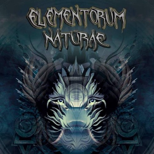 DJ MAMMUT - Elementorum Naturae Festival 2019 (BR) - Free download