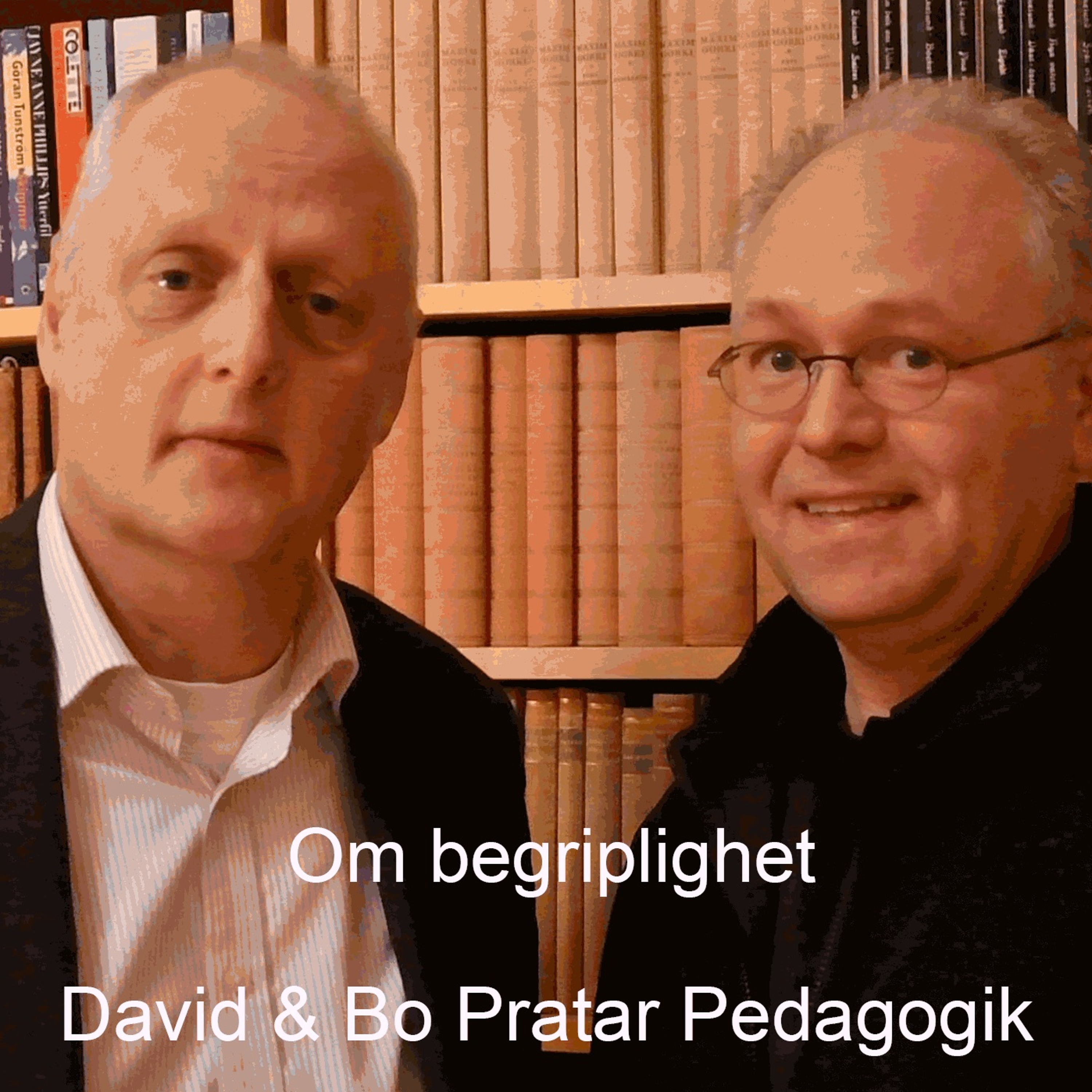 David & Bo Pratar Pedagogik