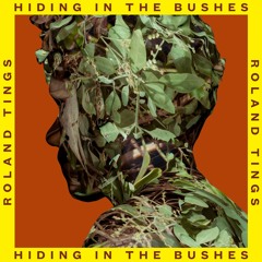 Roland Tings - Hiding In The Bushes