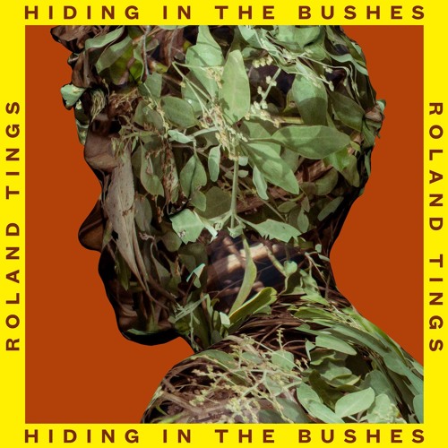 Roland Tings - Hiding In The Bushes