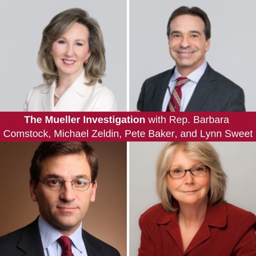 The Mueller Investigation