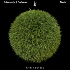 PREMIERE: Prismode & Solvane – Mole (Julian Wassermann Remix) [Ritter Butzke Studio]