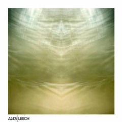 Andy Leech - Shoreline