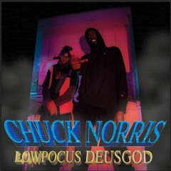 DeusGod -  Chuck Norris prod by Lowpocus (VIDEO OUT in description)