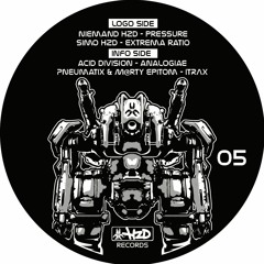 Acid Division - Analogiae [out now on HZD 05]