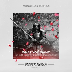 Monoteq & Toricos - What You Want (Patrick Podage Remix)