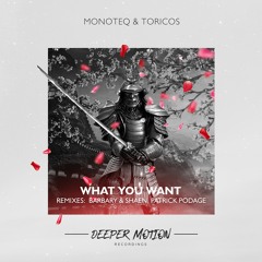 Monoteq & Toricos - What You Want (Barbary & Shaen Remix)