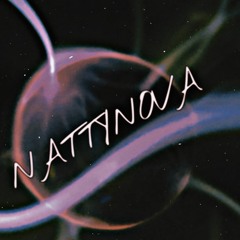 Not That Natty Nova
