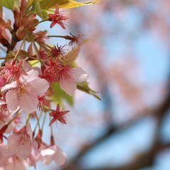 Dan Crispino - UK Garage April 2019