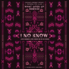 Chicago Afrobeat Project feat. Tony Allen - I No Know (Jose Marquez Afro-Beat No Go Die Remix)
