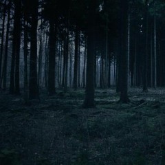 hatred vi6emint prod.