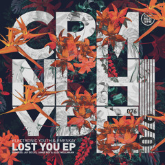 Electronic Youth, Emeskay - I Lost You (Original Mix)