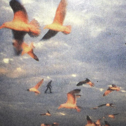 jl127 - never again [malibu edit]