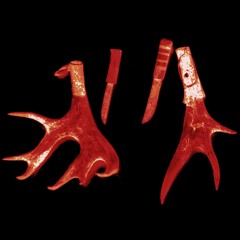 Land of Forgotten Tongues