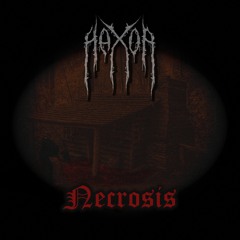 Hax0r! - Necrosis [Progressive Minatory]