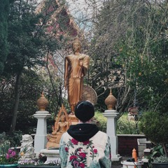 ~ head in the clouds