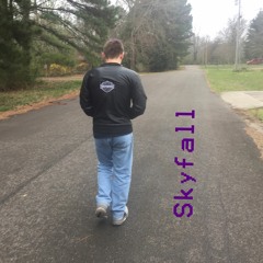 Skyfall (Prod. AKASquidBaby)