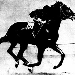 Skippyface - Zookeeper