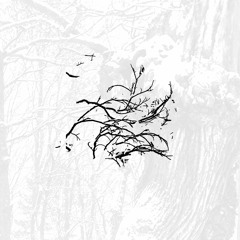 Por Seguir - Gato (Raúl Carnota)