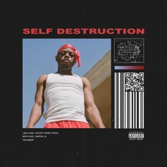 Boogie - Self Destruction (Avery & Kye-G)