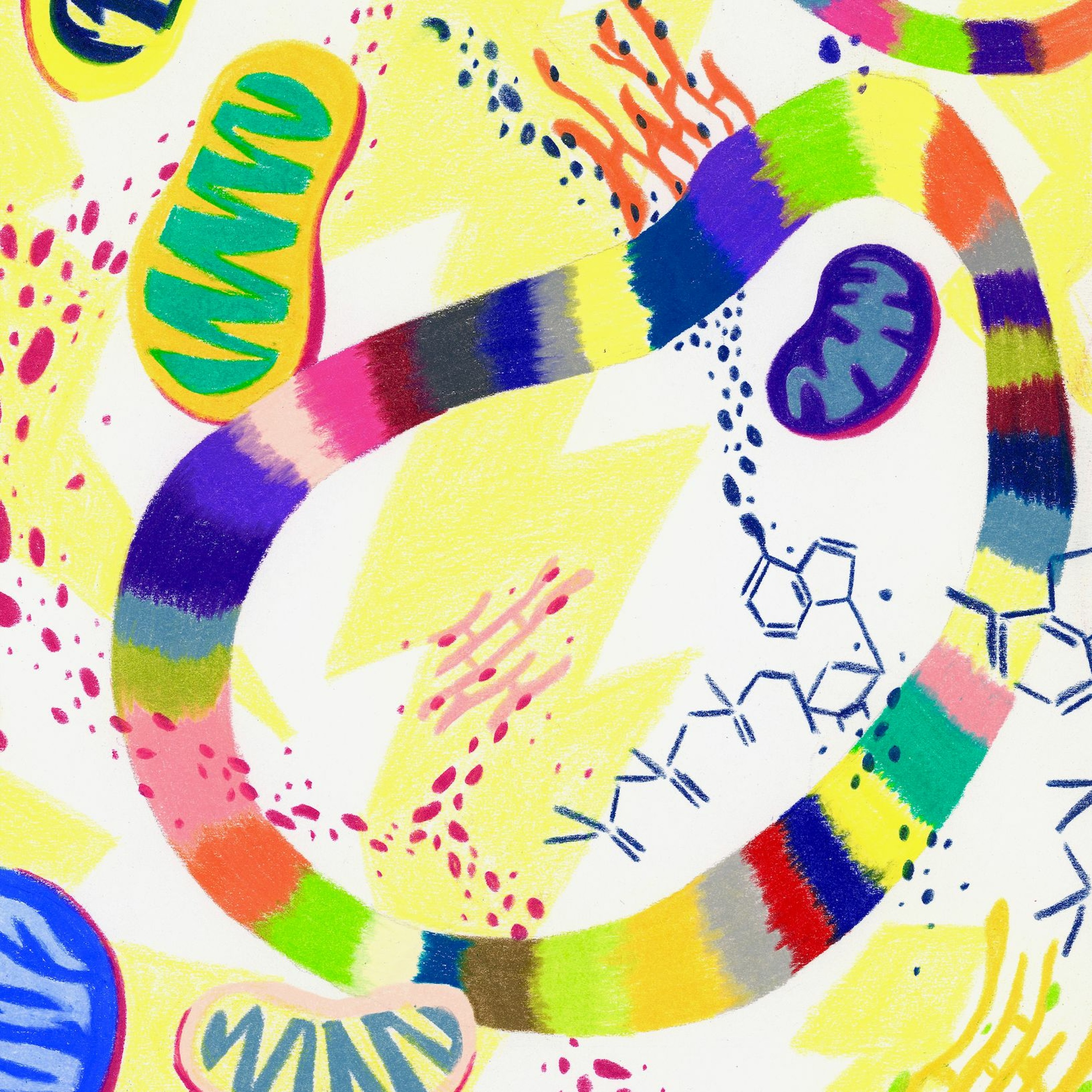 RadioBio