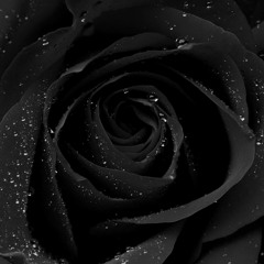 Temple of the Black Rose ~ Dark Moon Healing Journey