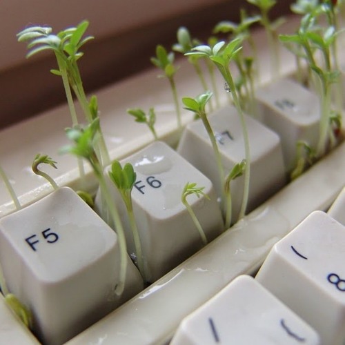 THINGS I WAS LISTENING TO THIS WEEK (4/5/19)