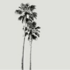 Intro "R.I.P. Nipsey Hussle" HateOnThis P2