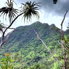 Jungle ft.Doty D (prod. pulaski)