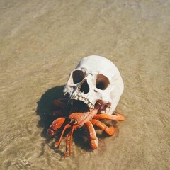 Malibu (Prod. Ill Instrumentals)