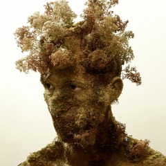 blame it on human nature