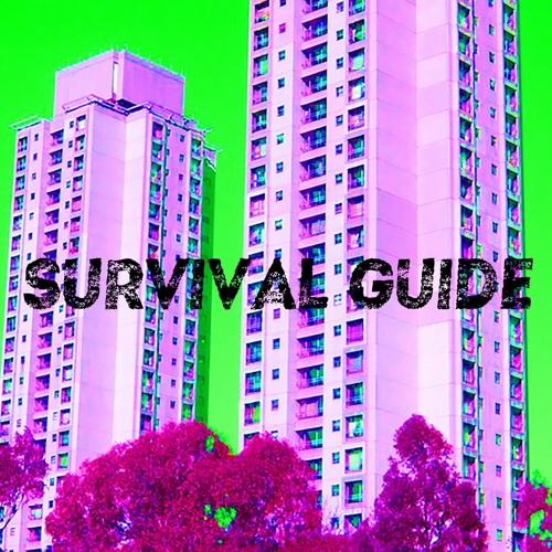 SURVIVAL GUIDE #10: What have you done for me lately?