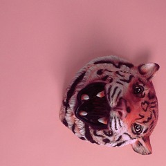 big wave + carter // pink tiger ep